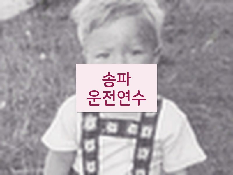 송파운전연수 후기