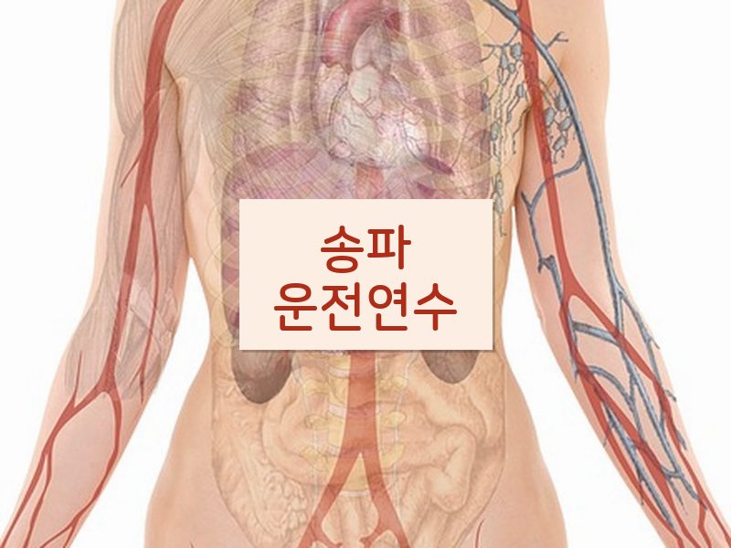 송파운전연수 후기