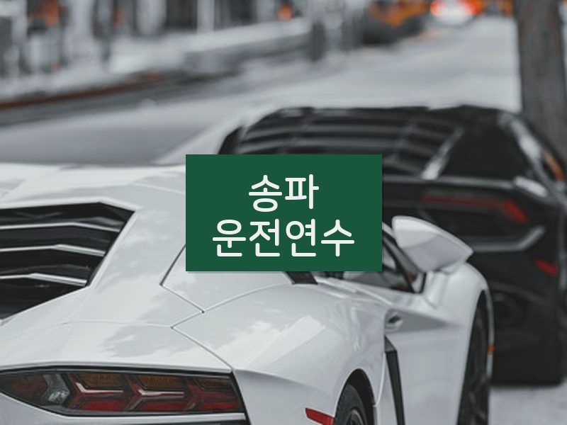 송파운전연수 후기