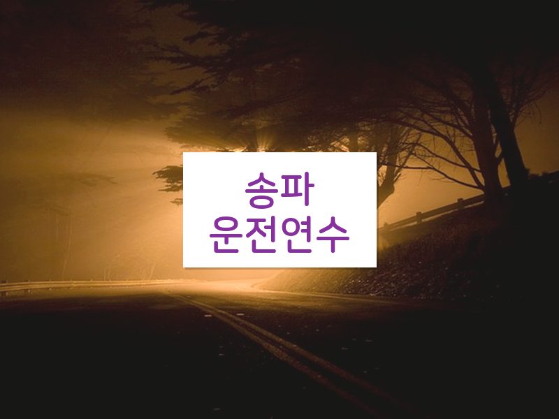 송파운전연수 후기