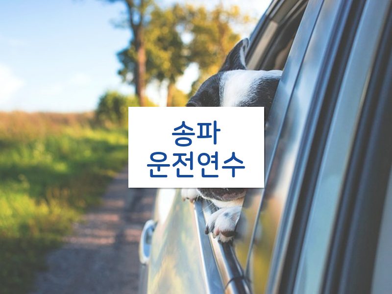 송파운전연수 후기