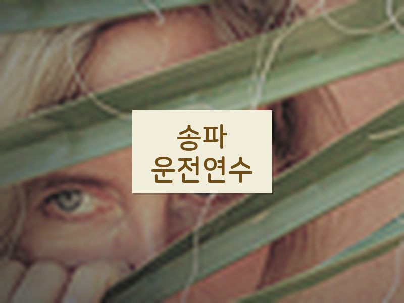 송파운전연수 후기