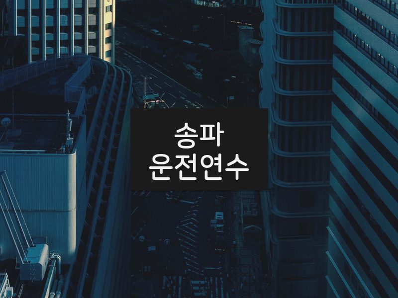 송파운전연수 후기