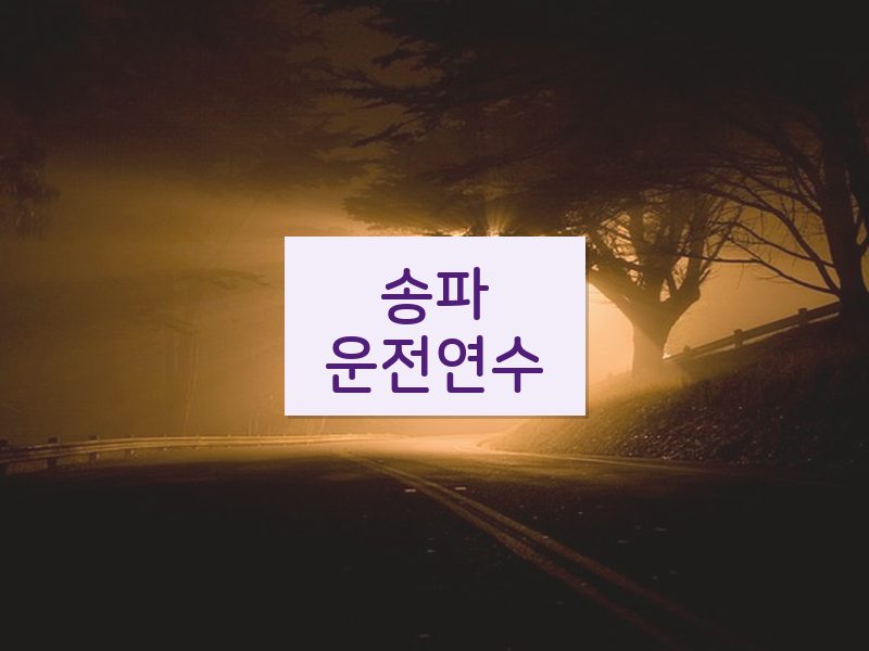 송파운전연수 후기