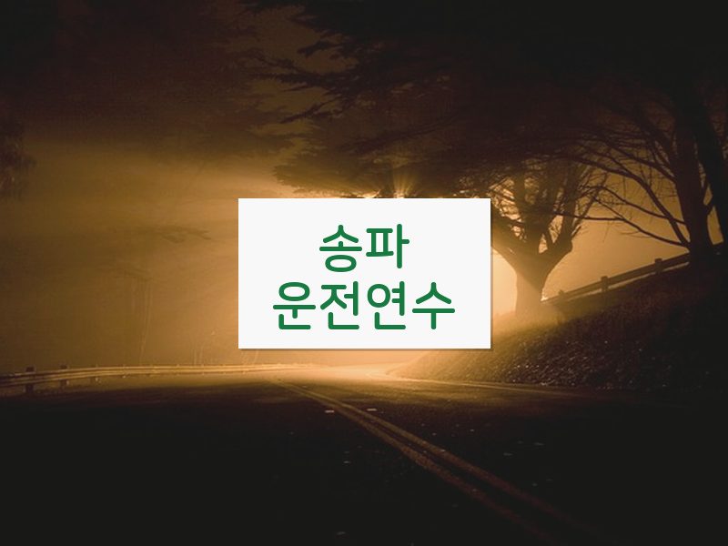 송파운전연수 후기