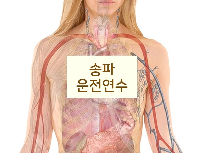 송파운전연수 후기