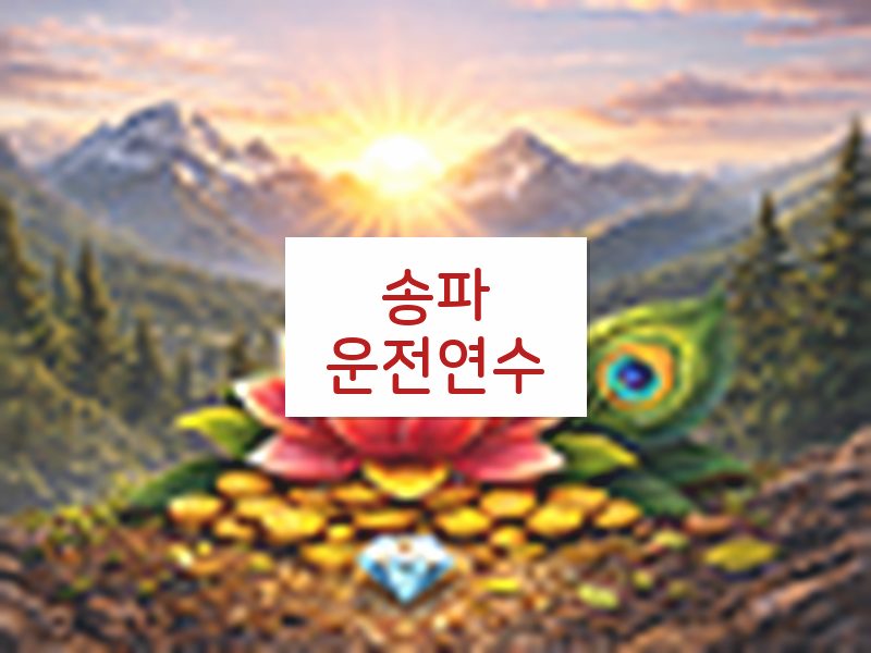 송파운전연수 후기