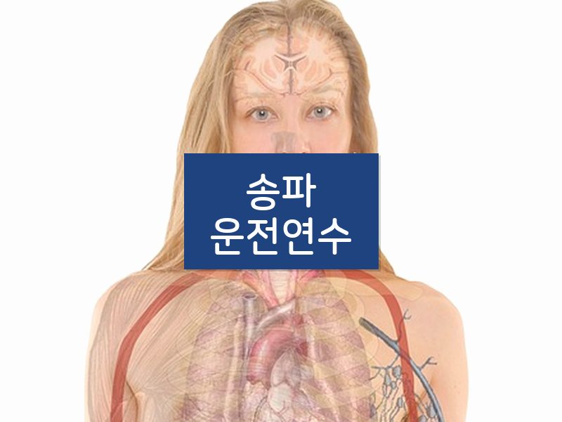 송파운전연수 후기