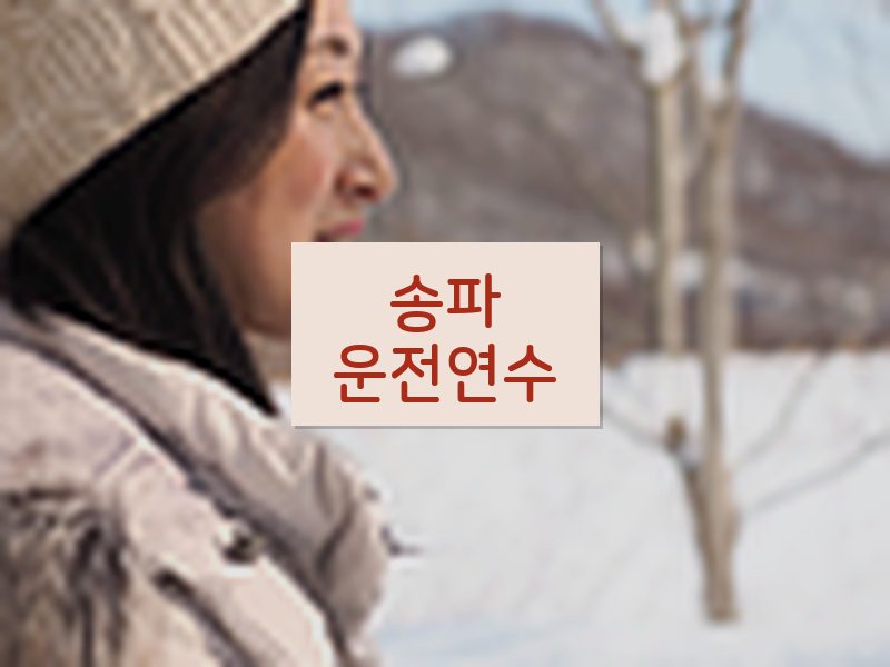 송파운전연수 후기