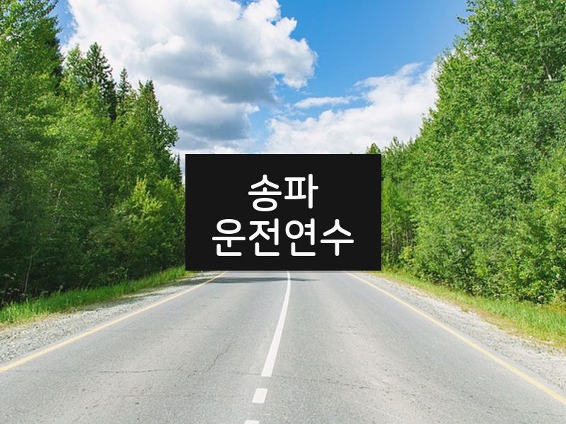 송파운전연수 후기