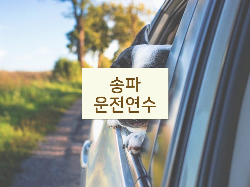 송파운전연수 후기