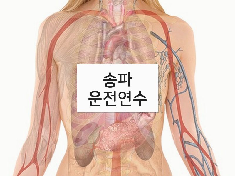 송파운전연수 후기