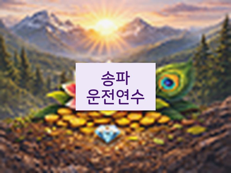 송파운전연수 후기
