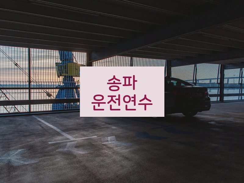 송파운전연수 후기