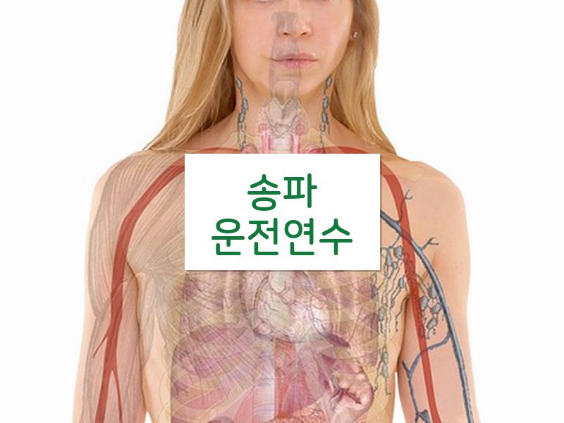 송파운전연수 후기