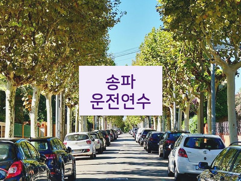 송파운전연수 후기