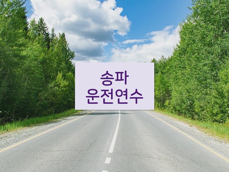 송파운전연수 후기