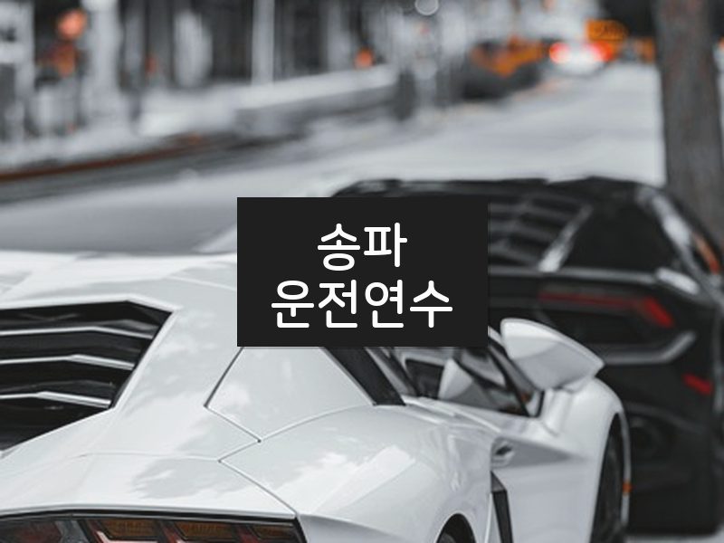 송파운전연수 후기