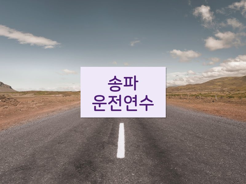 송파운전연수 후기