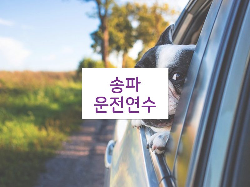 송파운전연수 후기