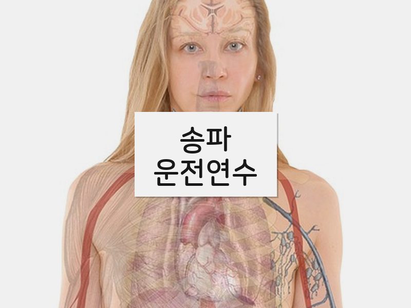 송파운전연수 후기