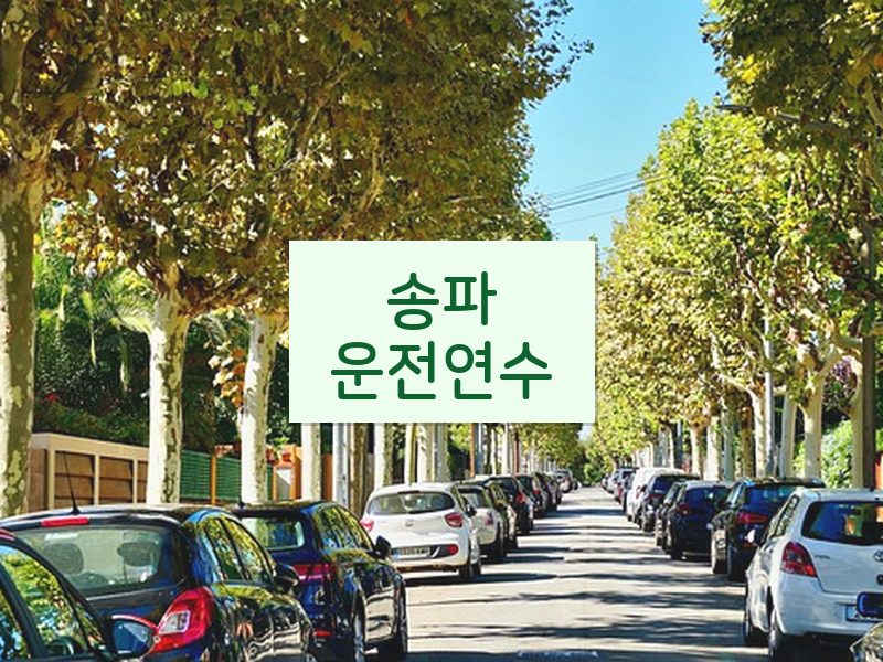 송파운전연수 후기