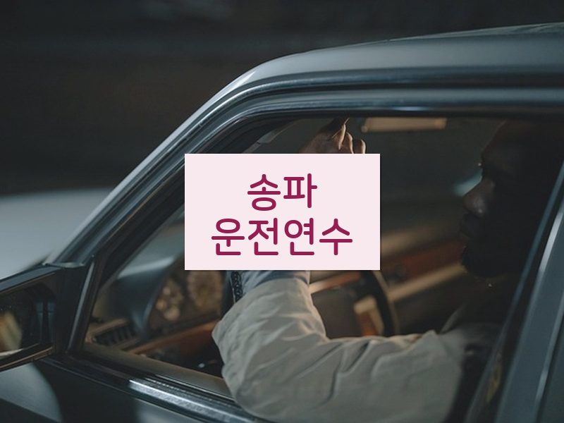 송파운전연수 후기