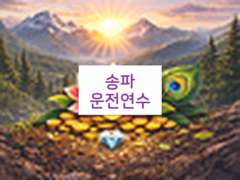 송파운전연수 후기