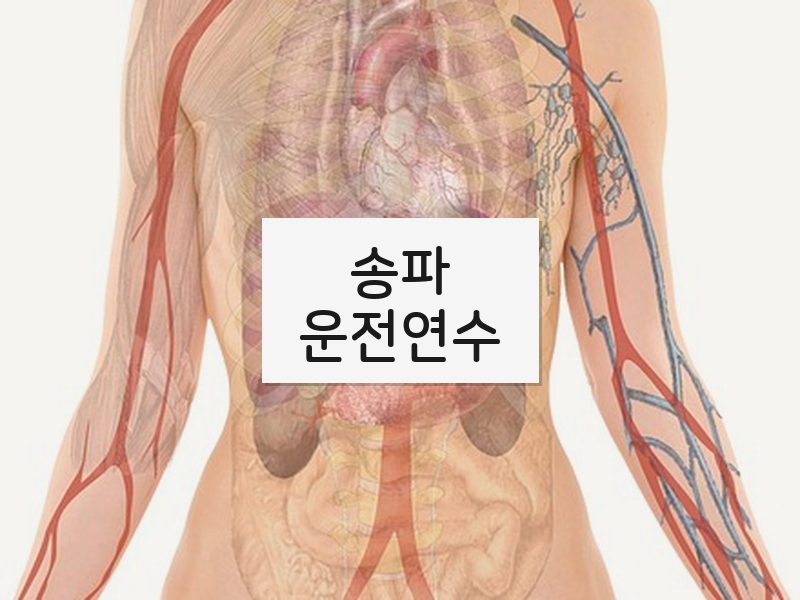 송파운전연수 후기