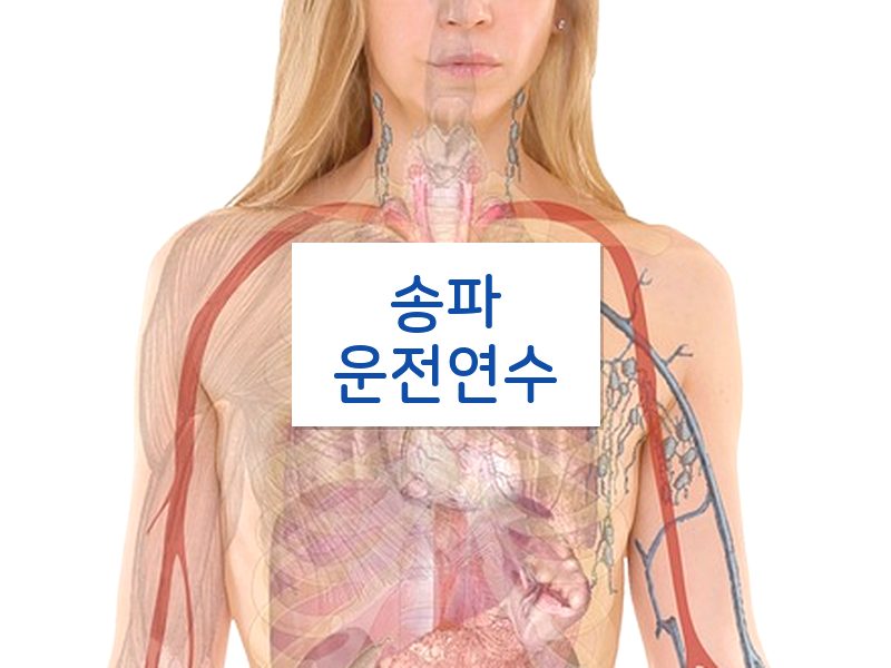 송파운전연수 후기