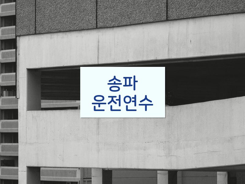 송파운전연수 후기
