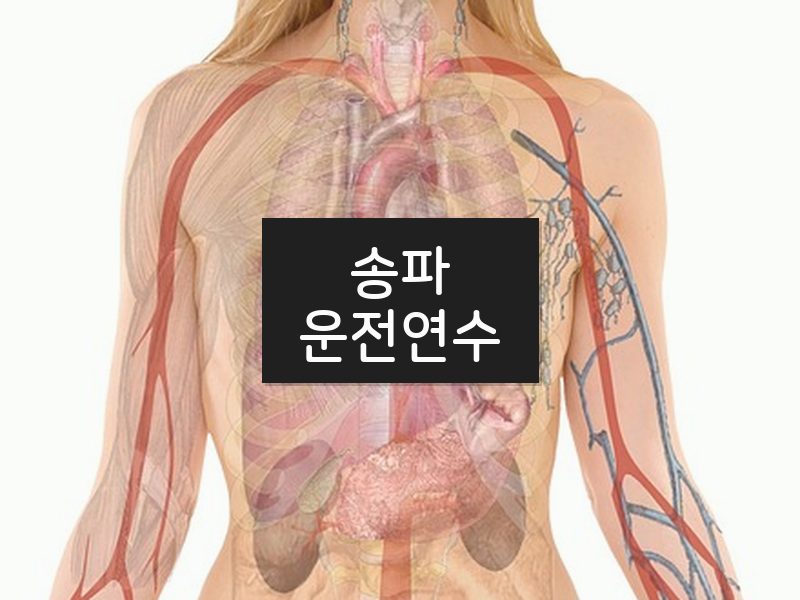 송파운전연수 후기