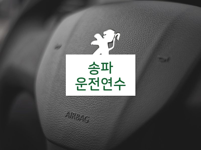 송파운전연수 후기