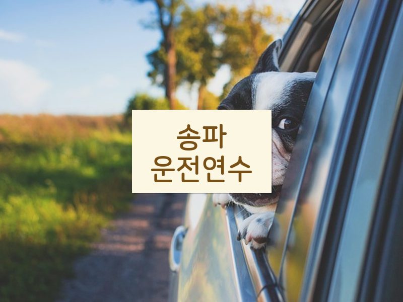 송파운전연수 후기