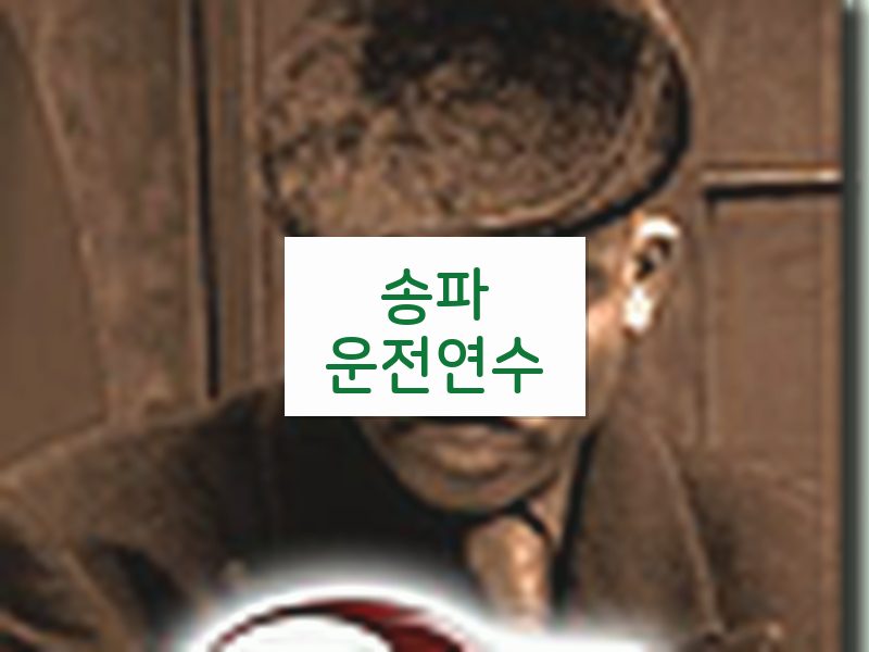송파운전연수 후기