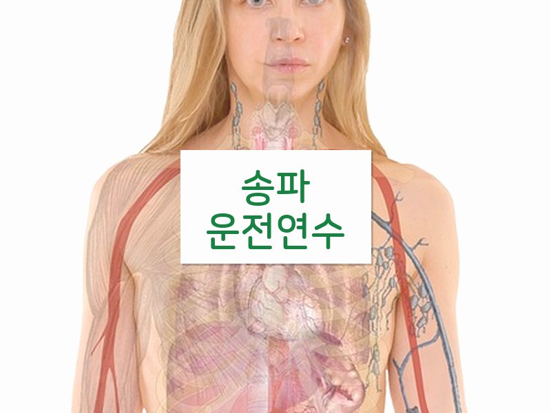 송파운전연수 후기