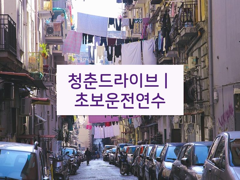 청춘드라이브 | 초보운전연수 후기