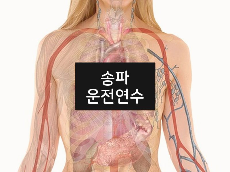 송파운전연수 후기