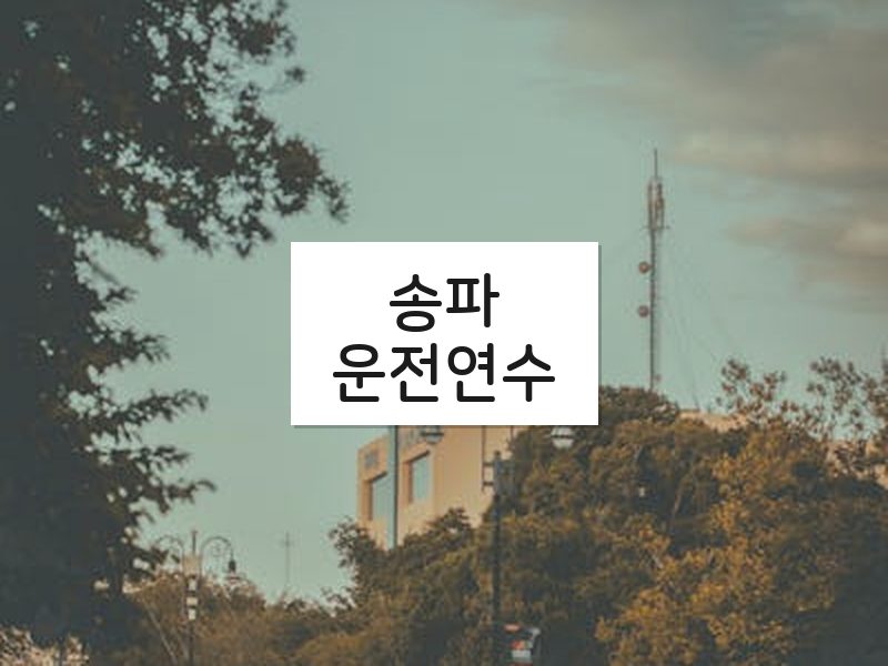 송파운전연수 후기