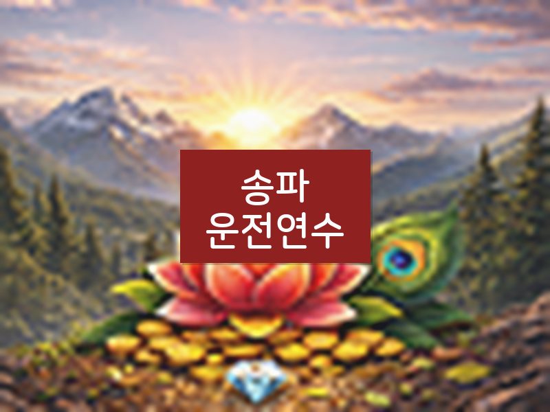 송파운전연수 후기