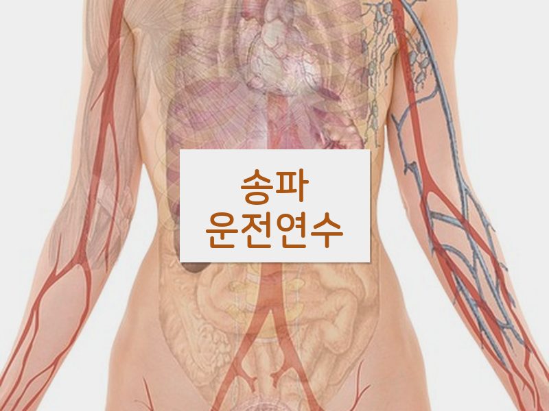 송파운전연수 후기