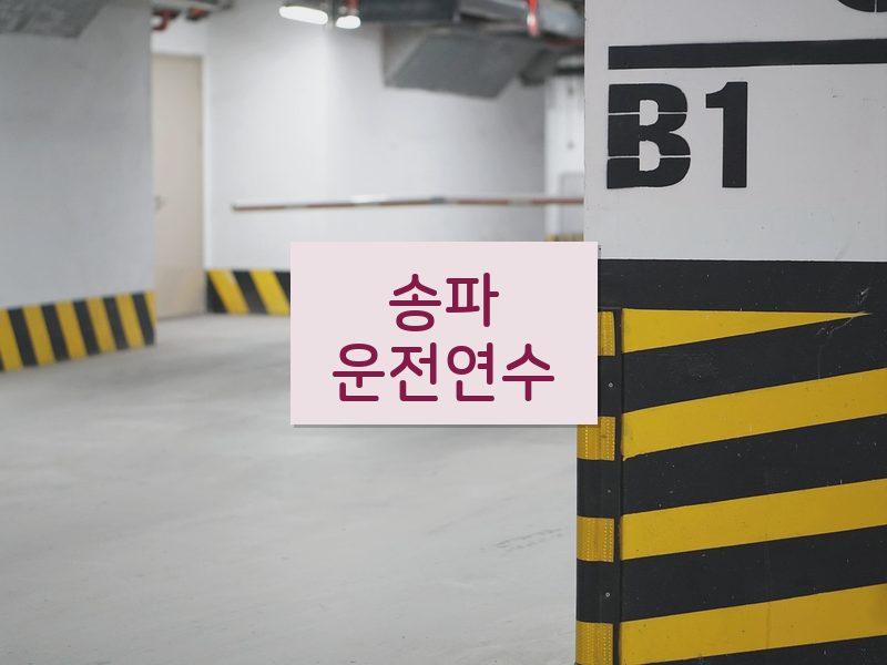 송파운전연수 후기