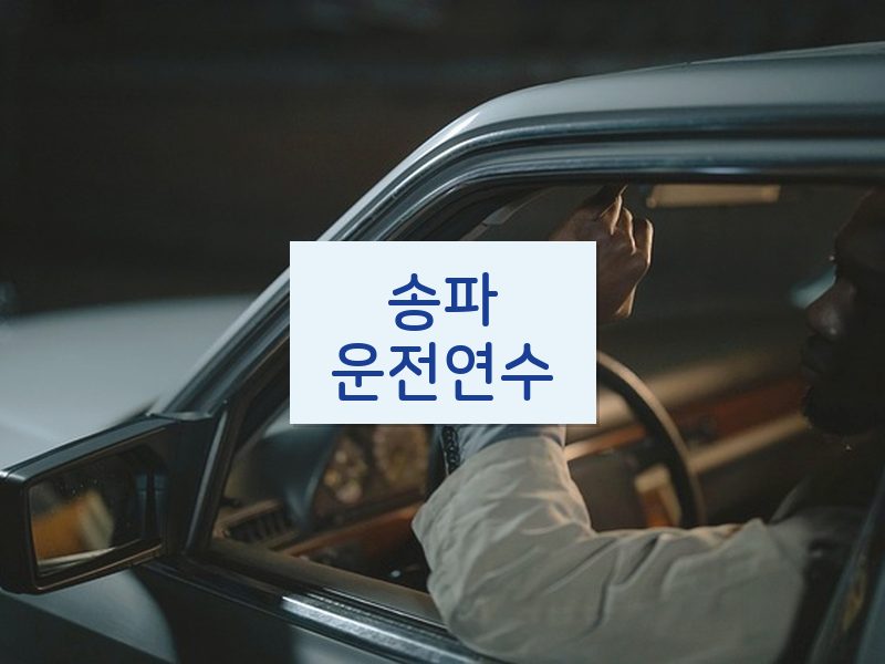송파운전연수 후기