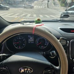 공원 가기 편하게 해요