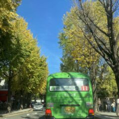 송파 야간 주차 연습